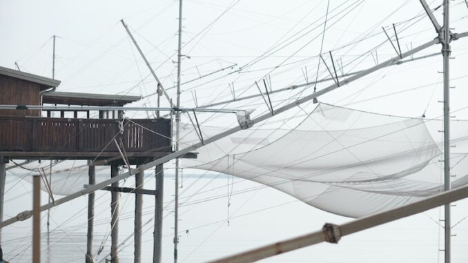 uploaded-image-fiber-optik-ve-tarim-uygulamalari-1697207356962